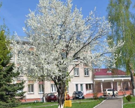 Родильный дом г. Борисов