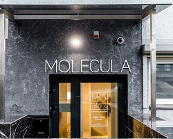 Центр эстетической медицины «Молекула»